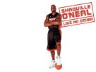 Shaquille ONeal DVD previous picture
