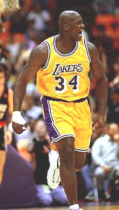 Shaquille O'Neal picture