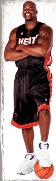 Shaquille ONeal DVD: Like No Other