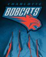 Images of Charlotte Bobcats jerseys including home, road and alternate plus information and where to buy them online