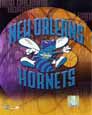 Images of New Orleans Hornets jerseys including home, road and alternate plus information and where to buy them online