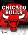 Chicago Bulls jerseys