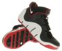 Lebron James Signature Shoes: Nike Zoom Lebron IV 4 